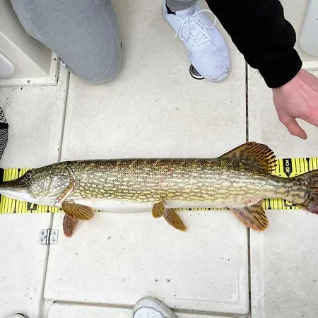 Adria Mobilheim Esox Haus Nr 12